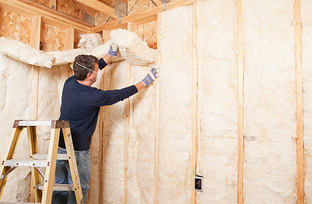 Best Insulation for New Construction  in Rocky Point, NY